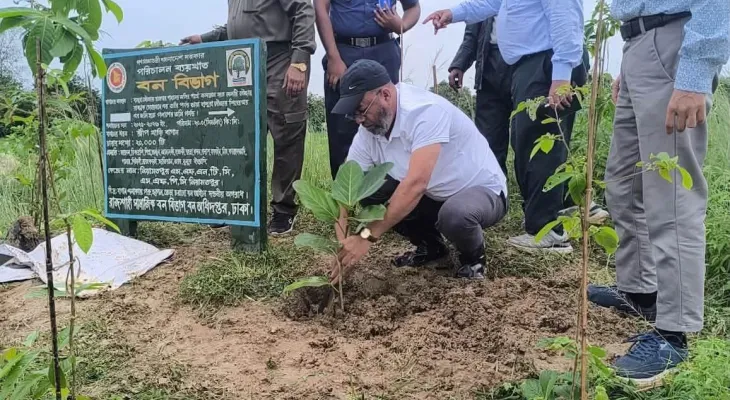 植树造林对于保护环境和生物多样性非常重要：国务部长谢赫·法里杜尔·伊斯兰